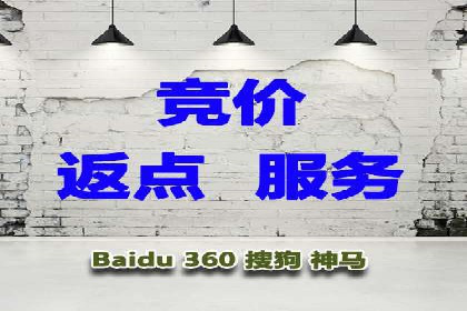 短视频平台的SEM推广实践与效果